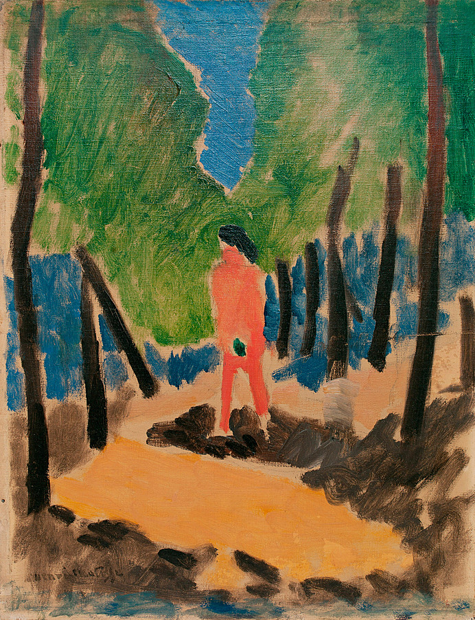 Henri Matisse - Nude in Sunlit Landscape 1909